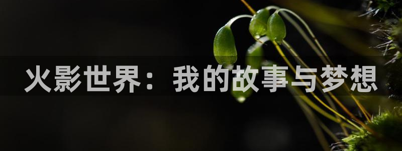 彻夜之歌漫画免费漫画之家：火影世界：我的故事与梦想