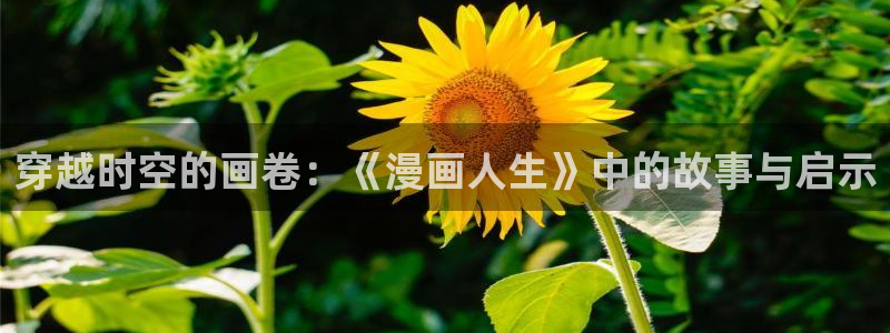 漫画之家官网：穿越时空的画卷：《漫画人生》中的故事与启示
