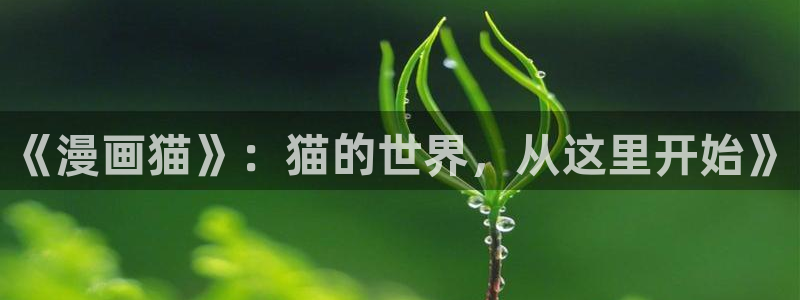 杏沙耶漫画之家漫画：《漫画猫》：猫的世界，从这里开始》