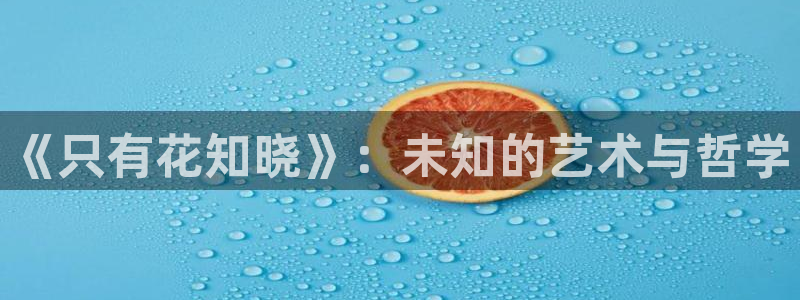 漫画之家韩漫免费：《只有花知晓》：未知的艺术与哲学