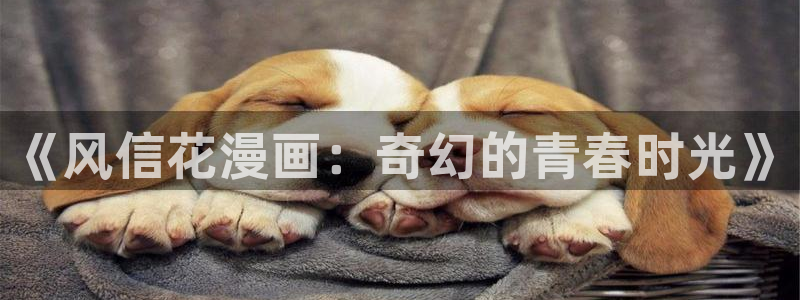 漫画之家首页：《风信花漫画：奇幻的青春时光》
