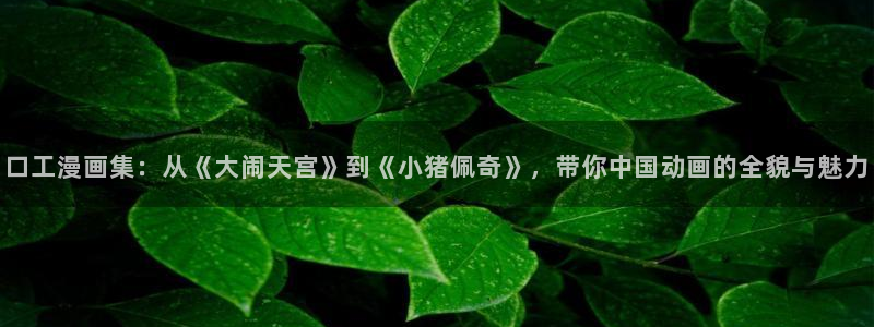 漫画之家怎么看漫画全集：口工漫画集：从《大闹天宫》到《小猪佩奇》，带你中国动画的全貌与魅力
