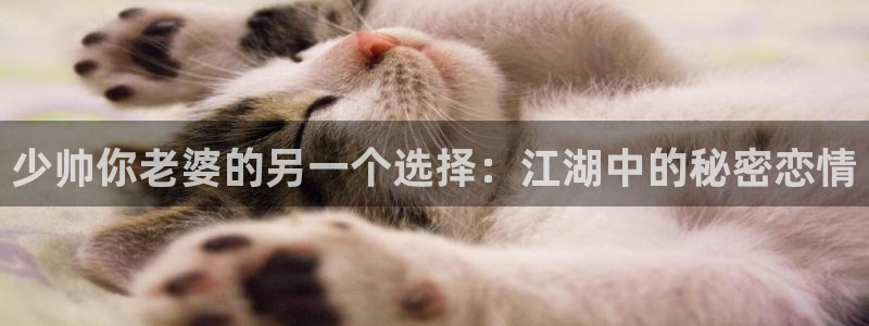 漫画之家官网入口：少帅你老婆的另一个选择：江湖中的秘密恋情