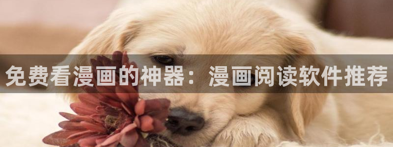 漫画之家下载：免费看漫画的神器：漫画阅读软件推荐