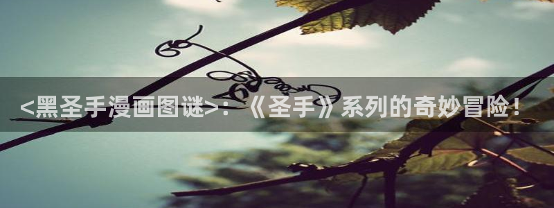 汉化全彩漫画漫画之家：<黑圣手漫画图谜>：《圣手》系列的奇妙冒险！