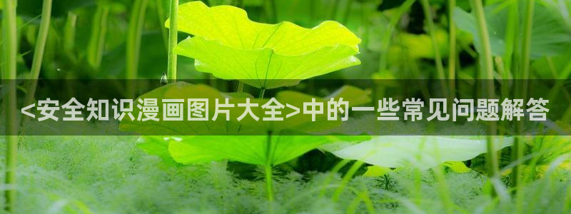杏沙耶漫画之家漫画：<安全知识漫画图片大全>中的一些常见问题解答